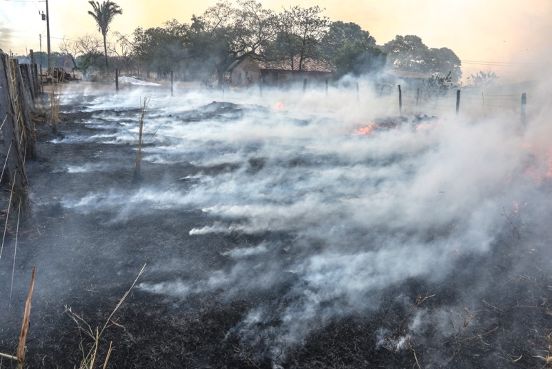 Linha Verde do Naturatins passa a funcionar nos fins de semanas e feriados